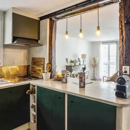 Charming Flat With Balcony In The Heart Of Daire Paris